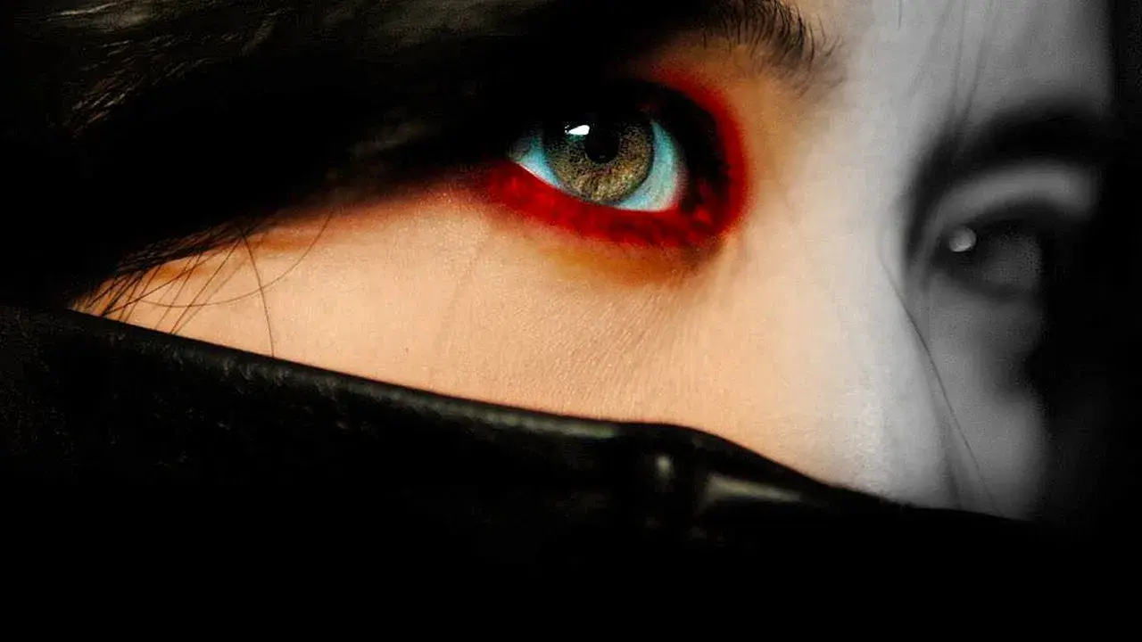 Lady Vengeance banner